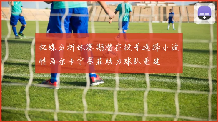 拓媒分析休赛期潜在投手选择小波特马尔卡宁墨菲助力球队重建