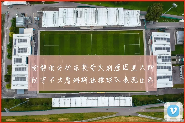 徐静雨分析东契奇失利原因里夫斯防守不力詹姆斯独撑球队表现出色