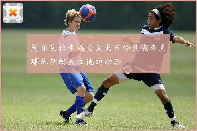 阿尔瓦拉多成为交易市场焦点多支球队持续关注他的动态