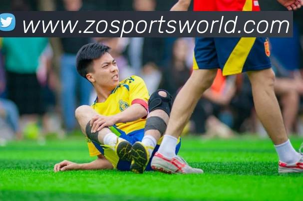 中欧体育平台生态图